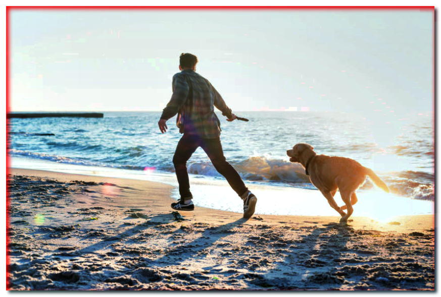 ¿Lista de playas para perros o dónde ir a la costa polaca con un perro?