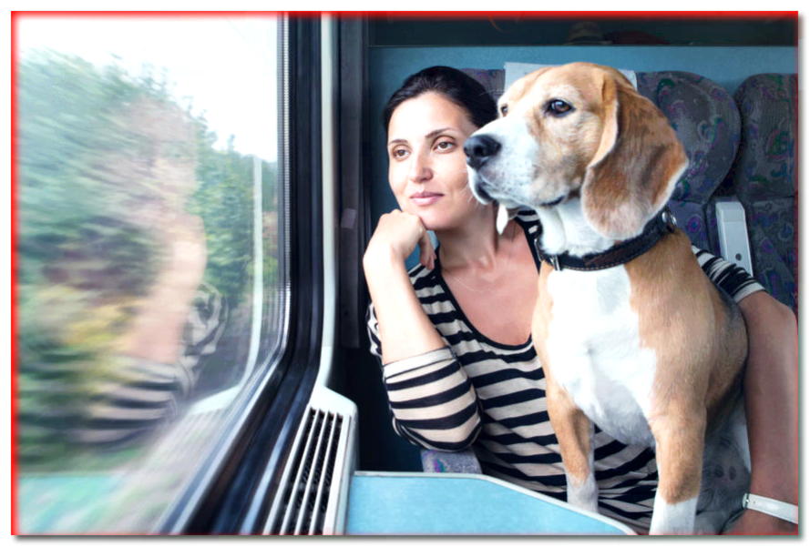 El conductor quería tirarnos a mí y a mi perro del tren. ¿Tenía derecho?