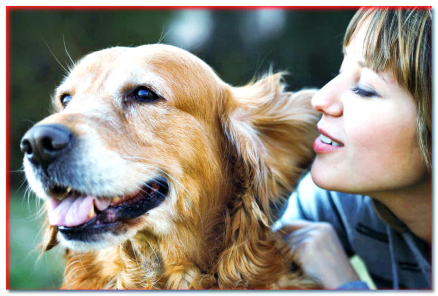 ¿Socializar con un perro te hace feliz?