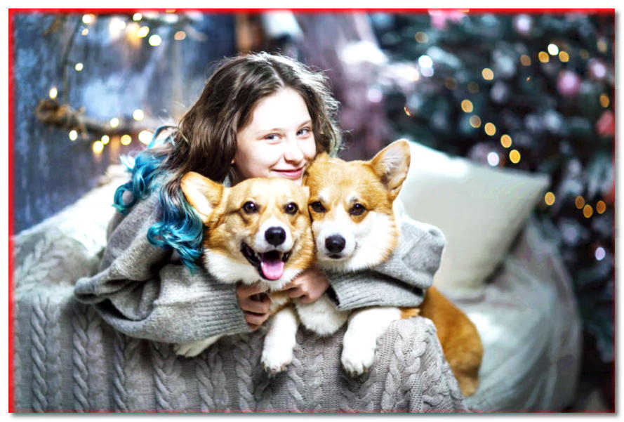 7 mandamientos de Navidad e invierno para un perro guardián