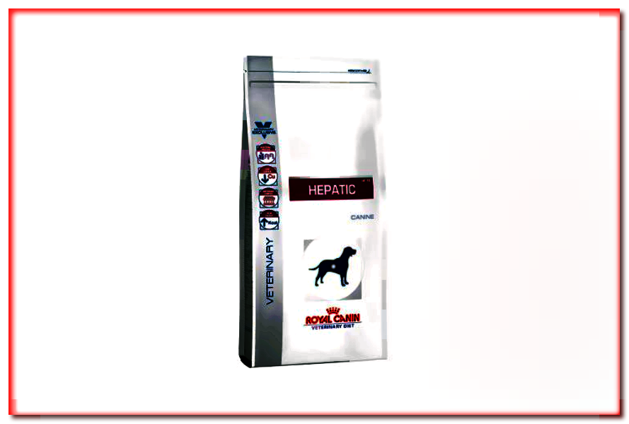 Royal Canin Veterinary Diet - Hepatic HF 16 - alimento seco para perros