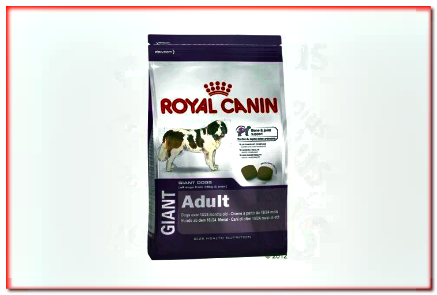 Royal Canin Giant Adult - alimento seco para perros