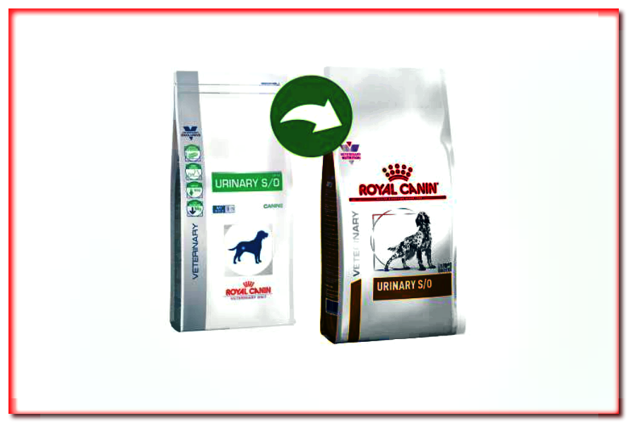 Royal Canin Veterinary Diet Canine Urinary S / O LP 18 - alimento seco para perros