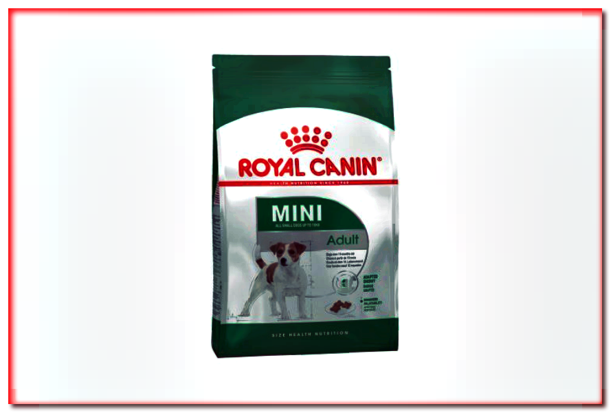 Royal Canin Mini Adult - alimento seco para perros