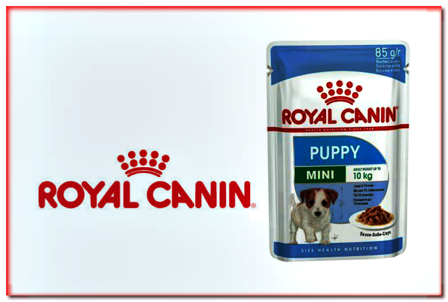 Royal Canin Mini Puppy - Comida húmeda para cachorros