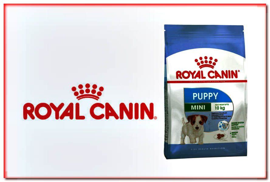 Royal Canin Mini Puppy - alimento seco para cachorros