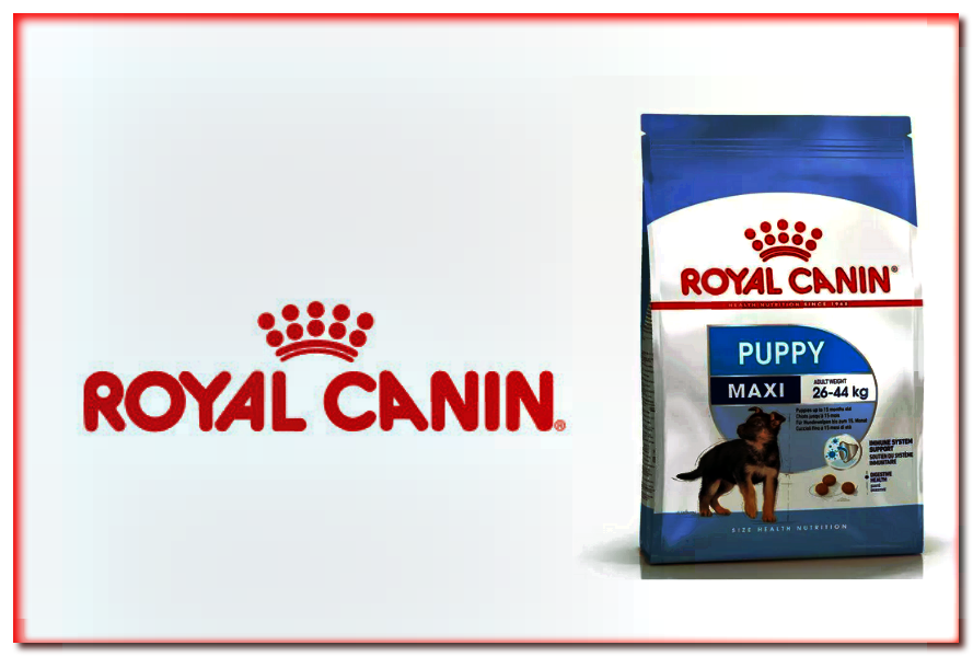 Royal Canin Maxi Puppy - alimento seco para cachorros
