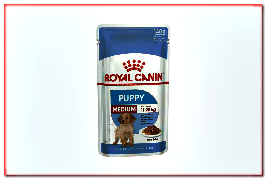 Royal Canin Medium Puppy Comida húmeda para cachorros