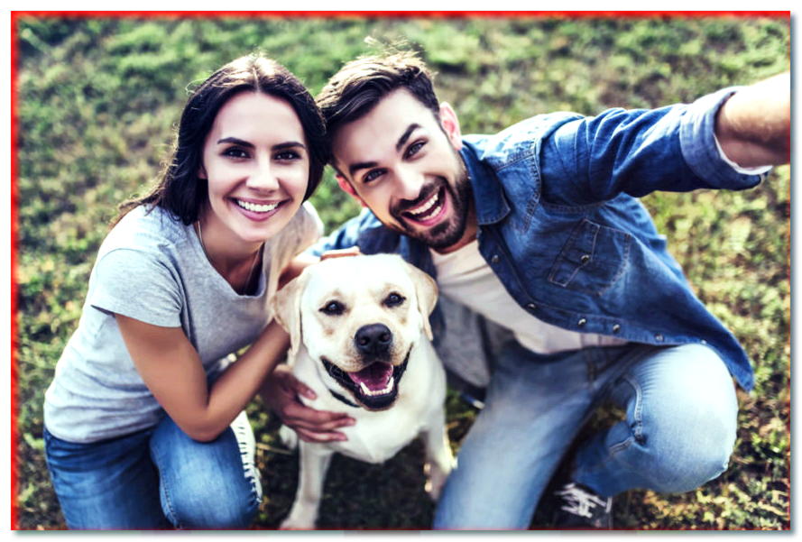 ¡Muéstrale al animal! ¿Cómo hacer una selfie con un perro?