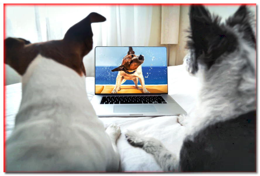¡Perros famosos! El mundo entero los amaba por sus papeles en películas - dogscap.com