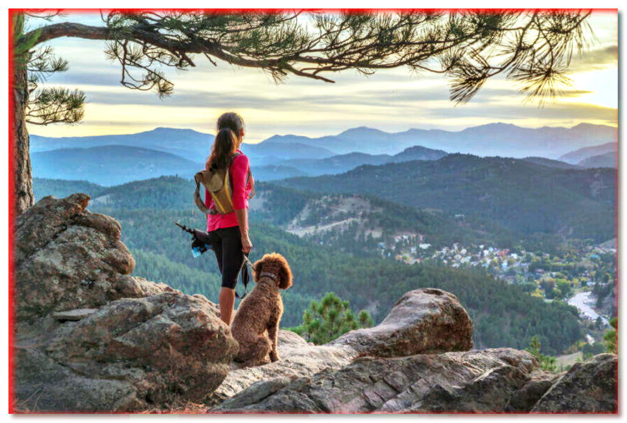 ¿Quieres ir con tu perro a la montaña? ¡Esto debe recordarse!