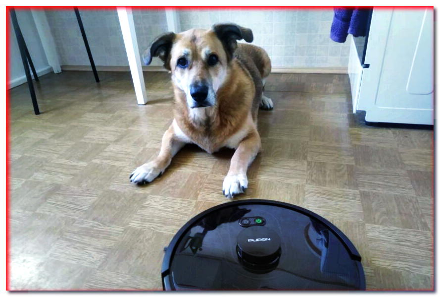 ¿Puede el robot limpiador PURON PR10 manejar la casa de un perro?