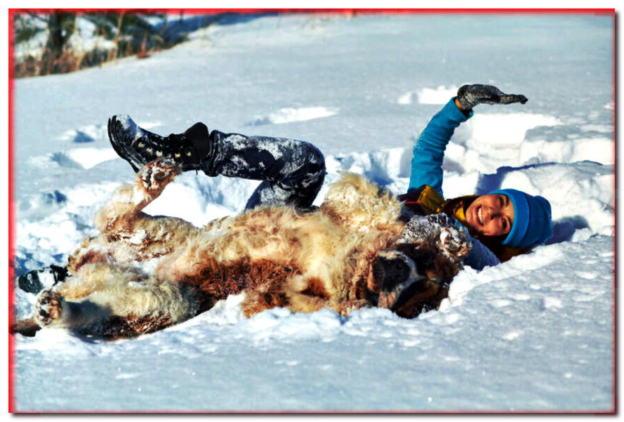Jugando con un perro en la nieve. ¡Consulta nuestras ofertas!