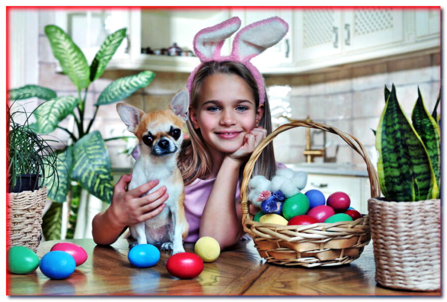 Golosinas de la mesa de Pascua. ¿Qué le podemos regalar a nuestro perro?