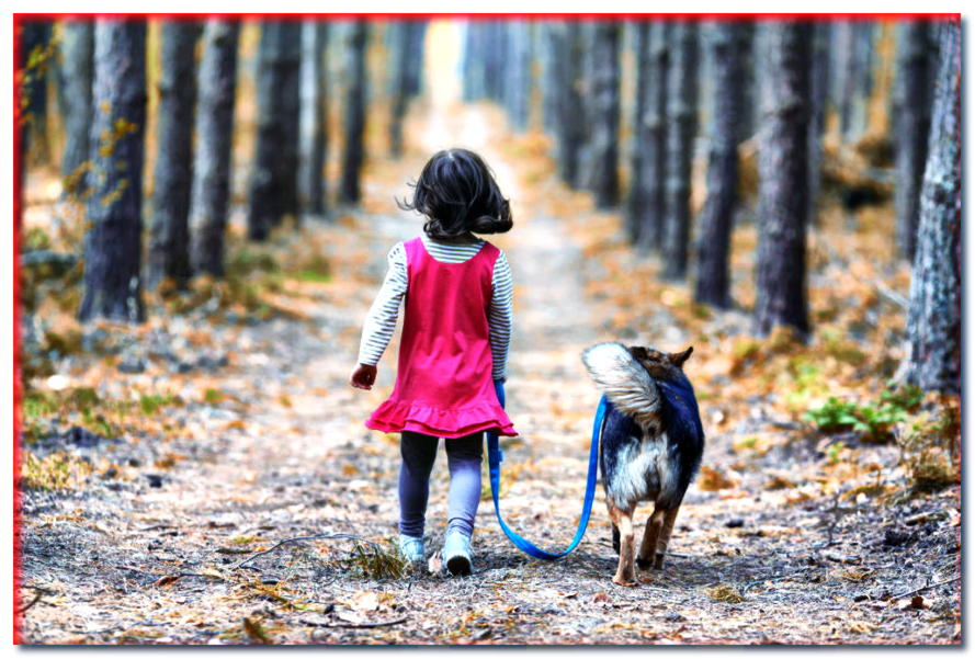 ¿Pueden los niños y los perros sentirse bien juntos? ¡Estas reglas deben ser conocidas por TODOS los padres y dueños del perro!