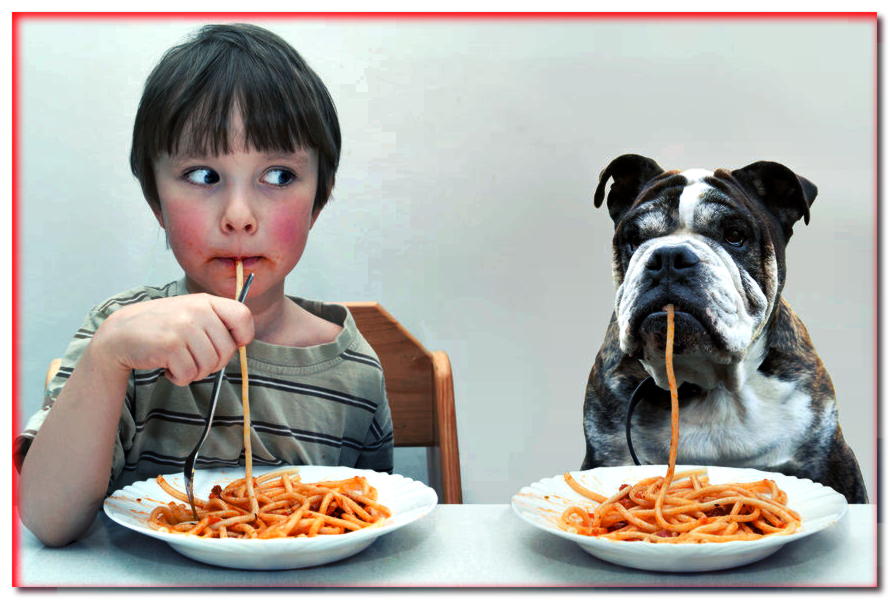 ¿Sabes lo que come tu perro? ¡Carbohidratos!