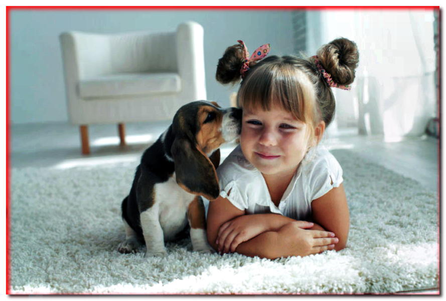 ¿Por qué los niños no son adecuados como guías de perros? Explica el veterinario