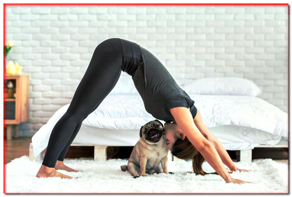 ¿Quieres hacer ejercicio en casa y tu perro te molesta todo el tiempo? ¡Sabemos por qué lo hace!