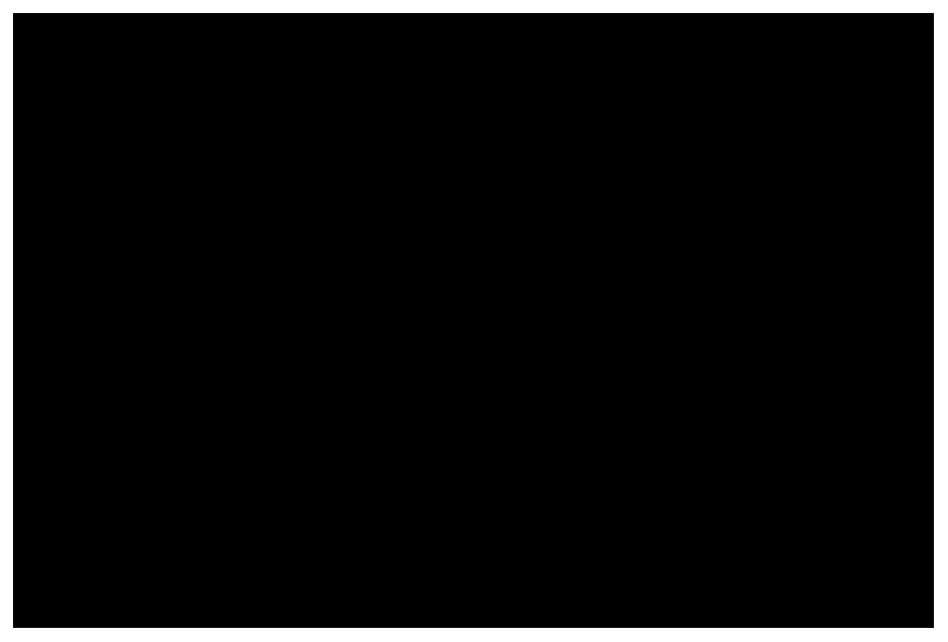 Leonberger de pie